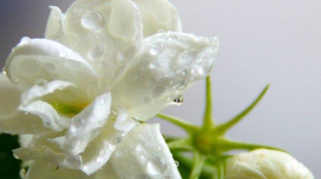 #妇科炎症#“天然消炎药”，女性没事敞开吃，妇科炎症也许“绕道走”