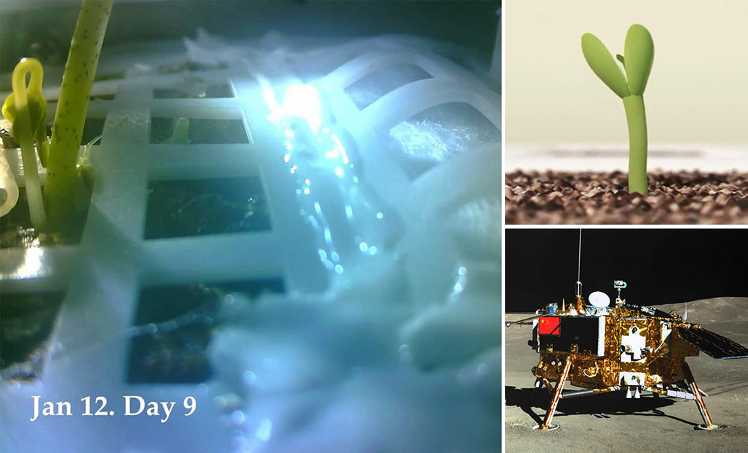 [宇航员]如果宇航员登月后，回不了地球该怎么办？