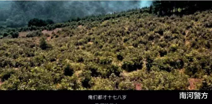 金刚川|2020，比八佰更爆炸的，是《金刚川》