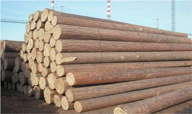 果然悠|农村干什么容易致富？3条道路，农民可以自己选择