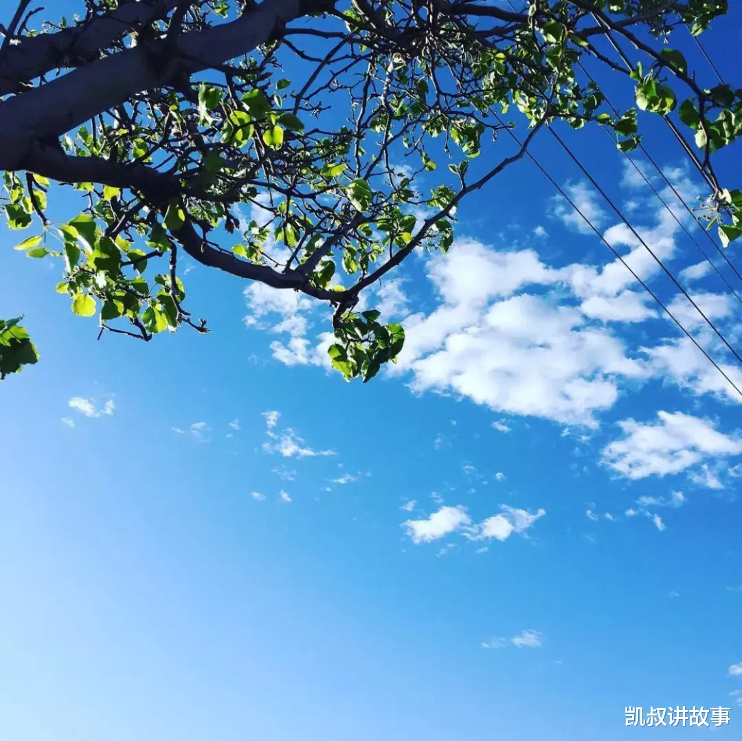 结婚|55岁不结婚，晒房间引100万人点赞：生活好不好，看卧室就知道