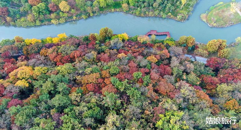 南通|8天假期，你知道狼山景区收入是多少吗？破纪录啦！多家媒体报道