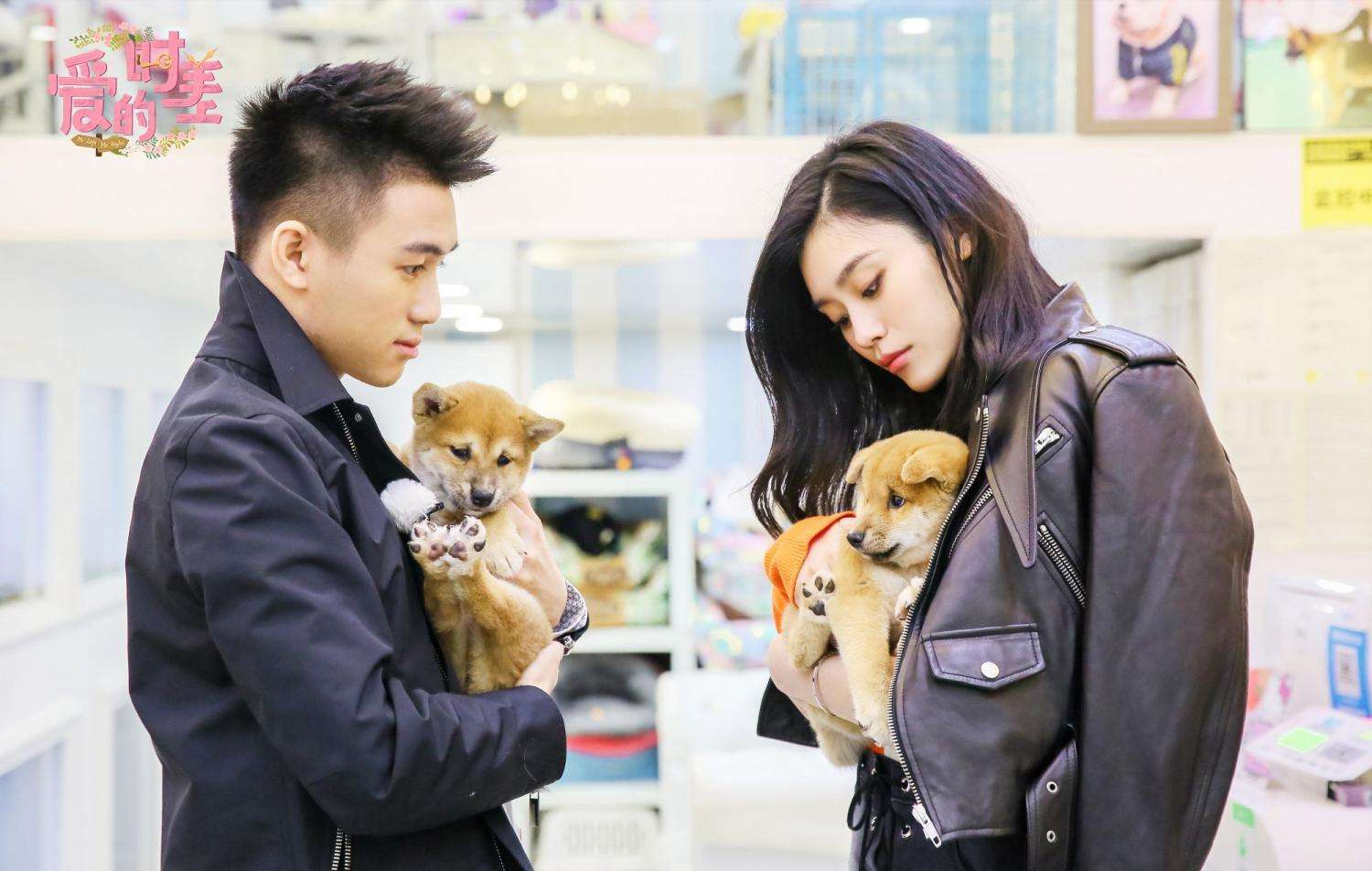 何鸿燊▲何鸿燊去世,5000亿财产怎么分?何超仪笑到最后,何猷君不太乐观