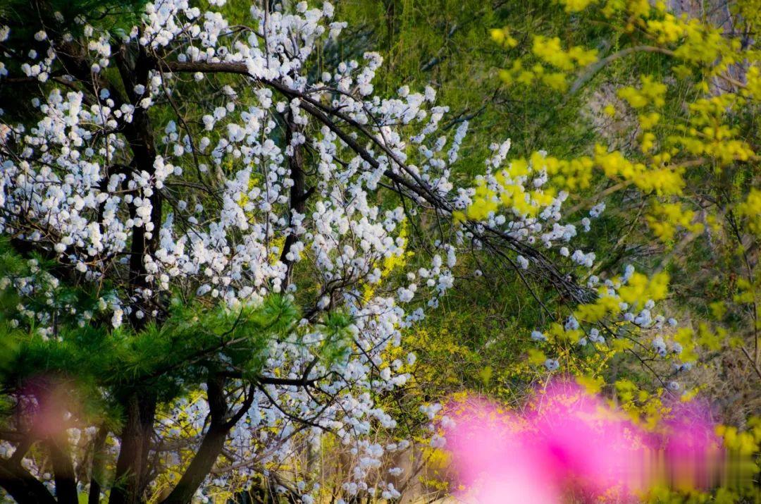 ▲周末，彩石溪走起！