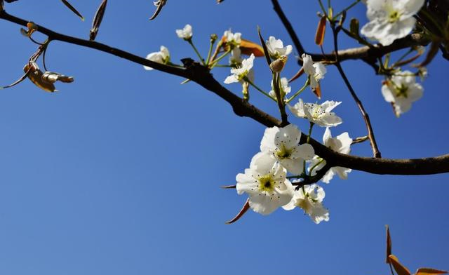 生肖|四生肖天赐良缘，十月份撞上“桃花运”，脱单结良缘分分钟的事！