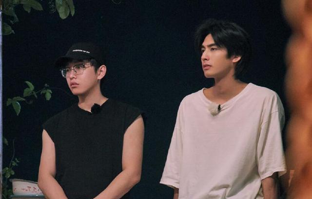 #向往的生活#《向往的生活》最后的“遮羞布”，竟是被一条好评给扯开了