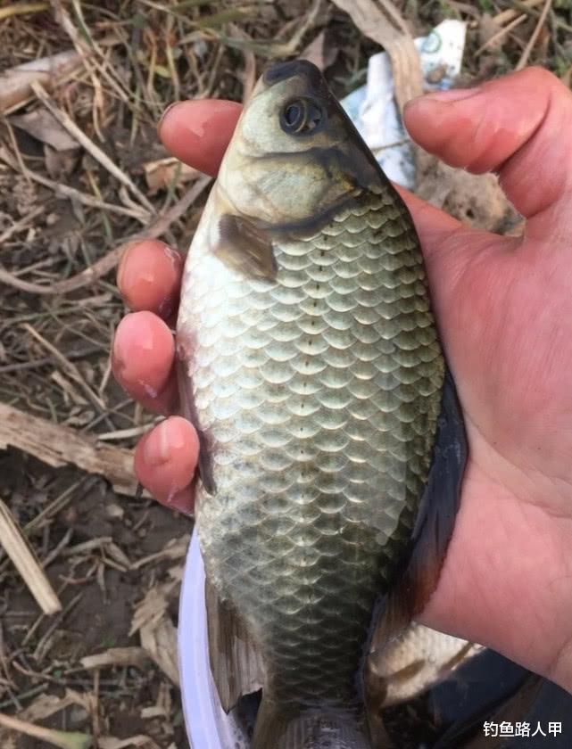 【】钓不到鱼就怪鱼不咬钩？有时候你错怪它了，问题很有可能出在这