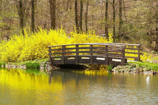 生肖|未来几个月“好运打头阵”，贵人支持事半功倍，顺利致富的3生肖