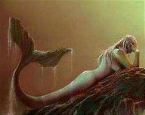 儒艮|1975年,中国海域抓到的那只真不是美人鱼吗?它究竟是什么物种?