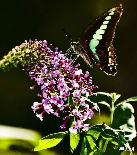 『属蛇』7月中旬开始财运转旺，4属相钱财万贯，横财不断，越来越有钱