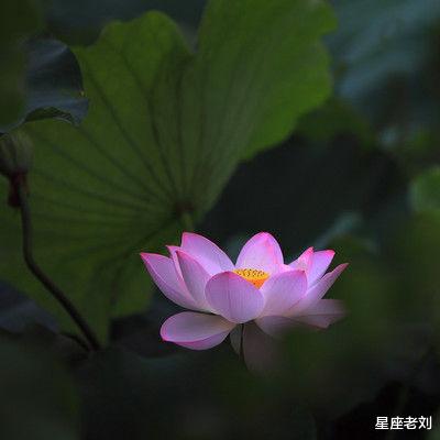 18号如获聚宝盆，19号财神进门，20号家运高涨让人高不可攀