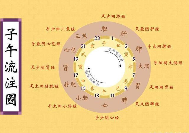 补肾@什么是阳气，养阳气最简单有效的方法是什么？