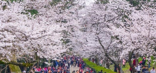 【五一劳动节】五一假期倒数计时，全国超4000家景点在五一需预约浏览，请知悉