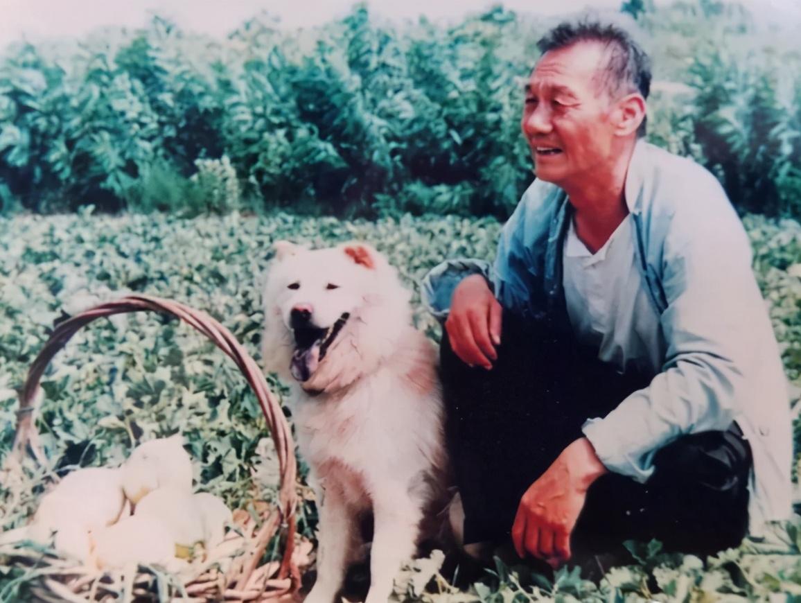 田成仁|他是国家一级演员，在舞台奉献一生，却鲜有人知他已离世将近1年