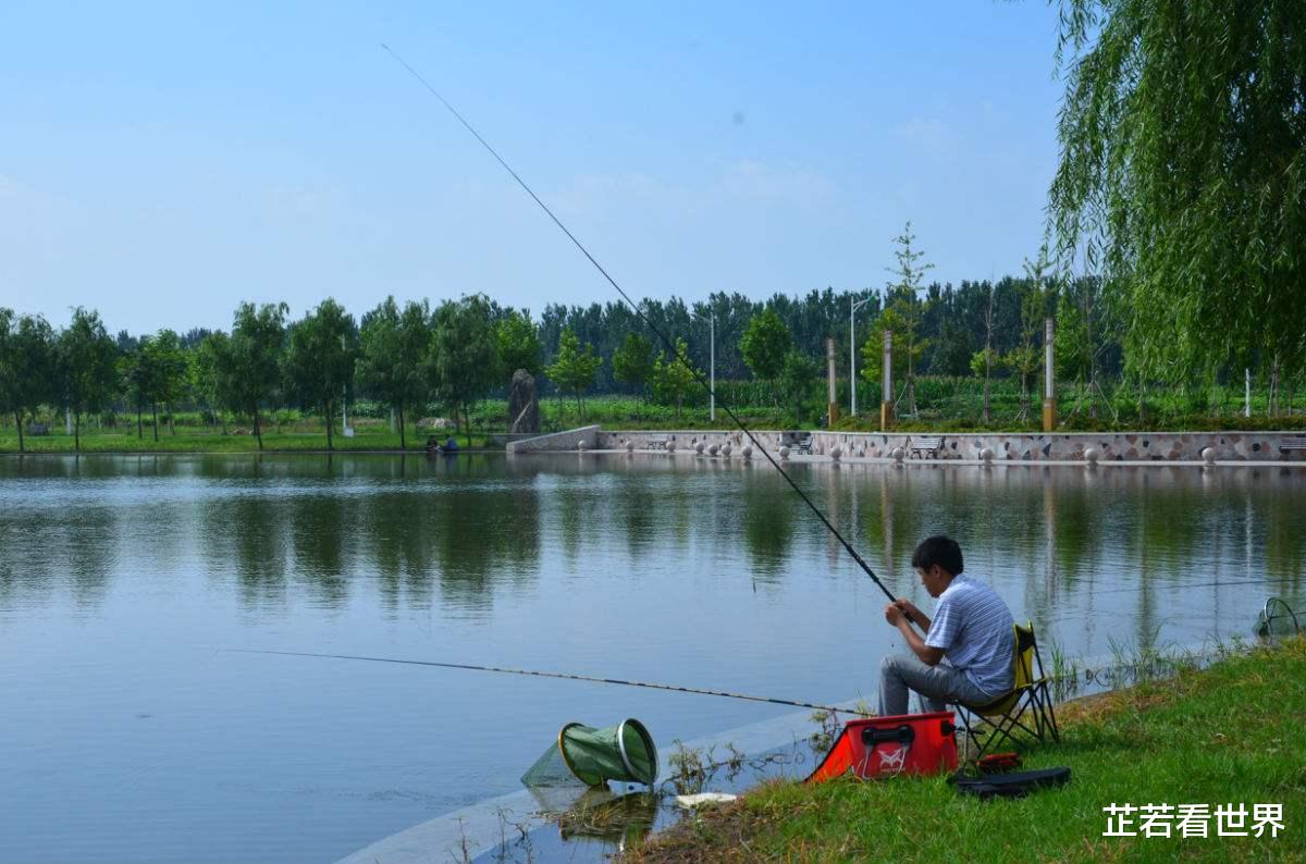 |“快溜！那些家伙们又来了”，鱼脱钩后会告知同伴有危险？