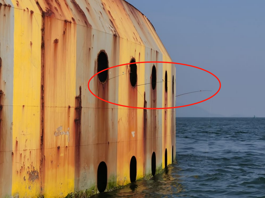 港珠澳大桥|港珠澳大桥上钓鱼？钓鱼佬的沙雕，你根本想象不到