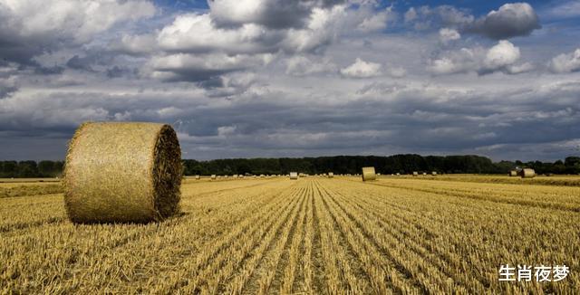 【生肖】7月，分开时毫无预兆，旧情人无比心酸，3生肖再次挽留，旧爱复燃
