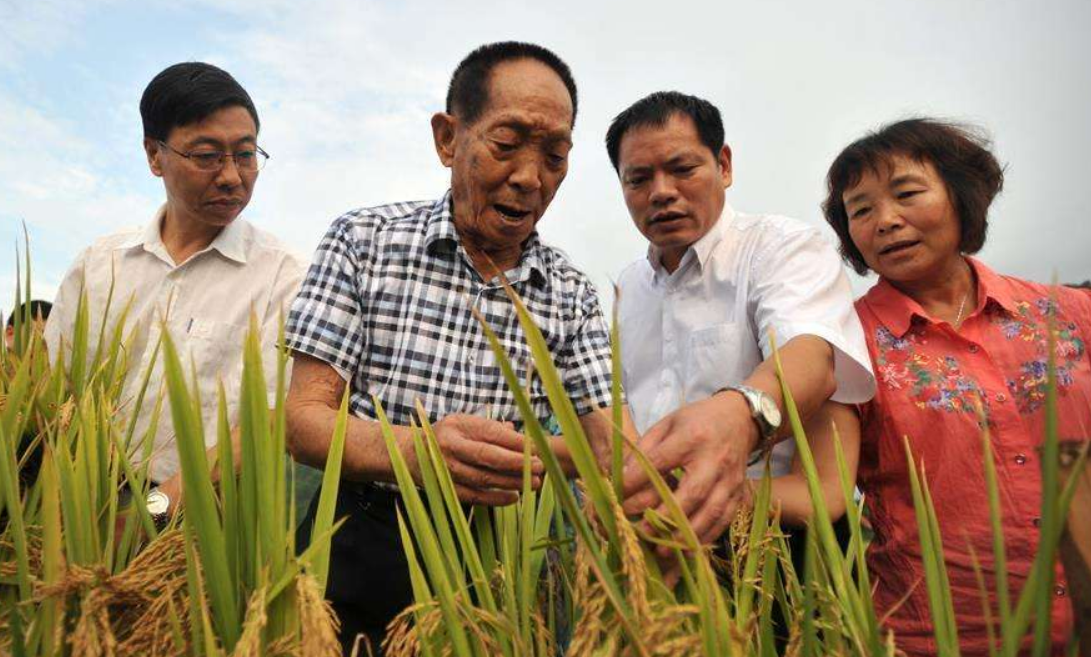 爱因斯坦|各国的精英科学家，英国有牛顿，德国有爱因斯坦，中国：我们有他