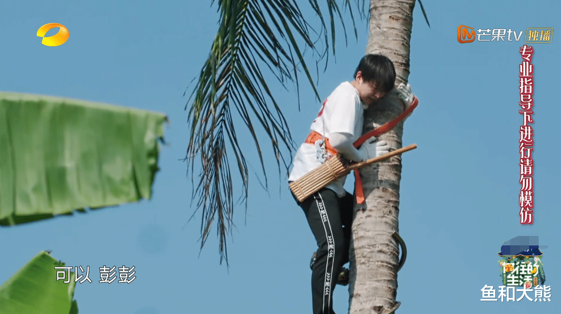 彭昱畅：继张婧仪后，黄磊因菜品罕见对彭昱畅板脸，张绍刚打抱不平很在理