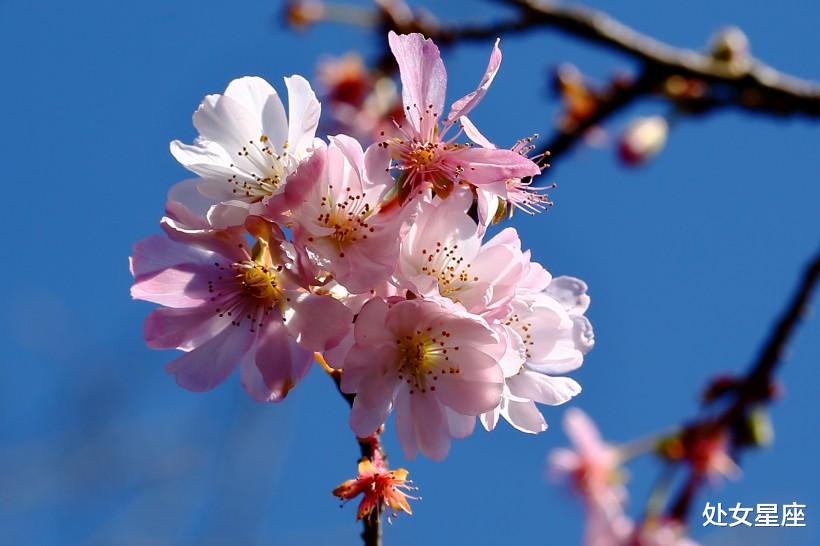 #生肖#6月23号财运“黄金期”,财神关照,大喜来到,日子红红火火的生肖