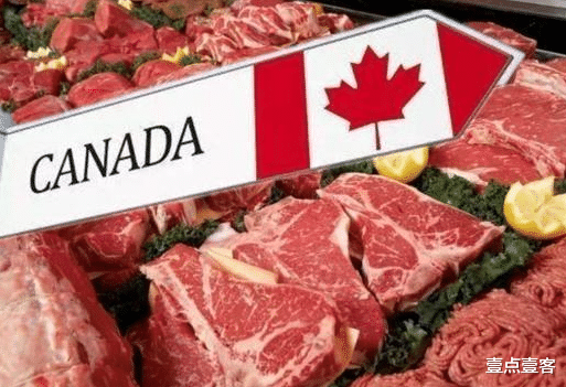 加拿大宣佈對中國“斷供”豬肉，俄羅斯也“趁火打劫”？-圖2