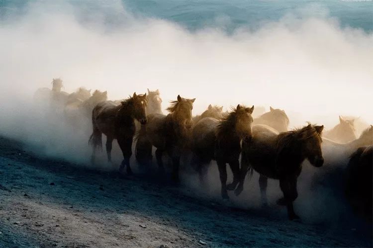 甘肃|千万别跟甘肃人吃饭