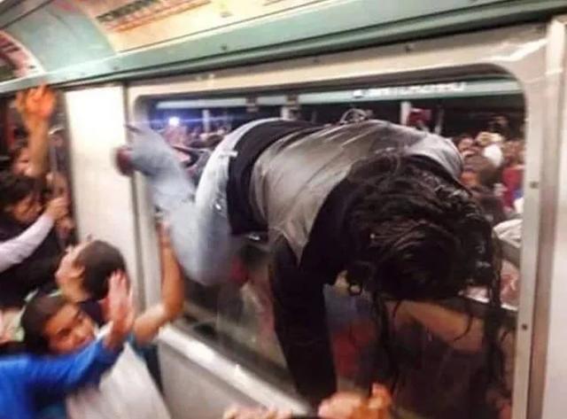 InsDaily|纽约地铁禁止带狗，但允许沙雕进入，于是奇怪的事情发生了……