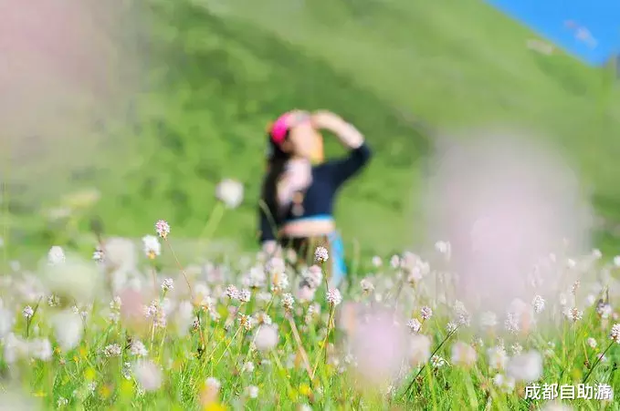 『川西』不输俄么塘！川西又一冷门万亩花海开放，不收门票，赏花观云还不打挤