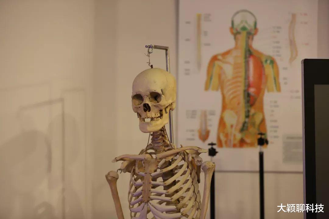 科学家|人类长出新器官， 3个世纪来首次发现，未来人会进化成什么样？