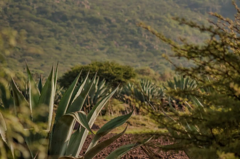 『吉星』下周迎来吉星出现，事业发展更顺利，贵人相助，横财不断的四属相