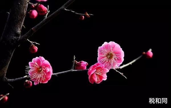 天秤座■6月23号,好事缠身,上有翻身大运,下有财神进门的3个生肖