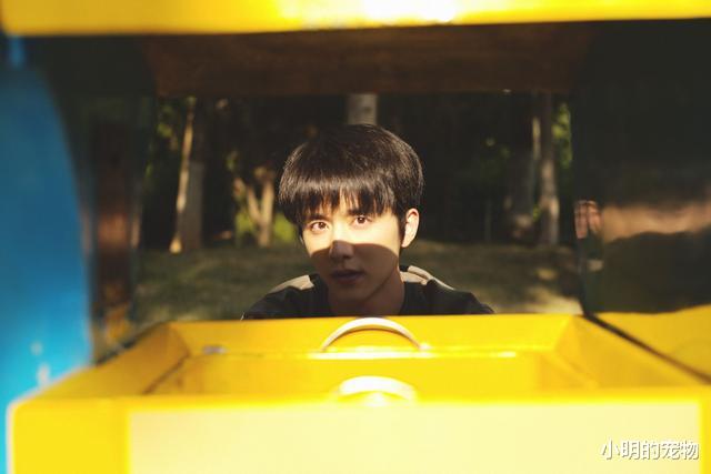 以家人之名|《以家人之名》果然!她才是全剧最好的女孩