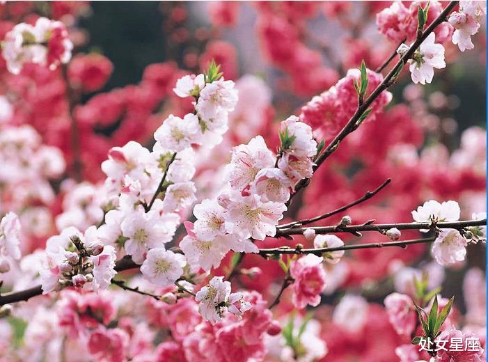 |接下来一周,贵人辅佐,3生肖运势超顺,事业大旺,数钱数到手抽筋