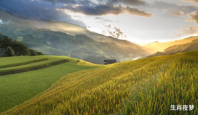 旧爱|8月底，旧爱回头，再续前缘，3生肖爱乱了分寸，余生不离不弃