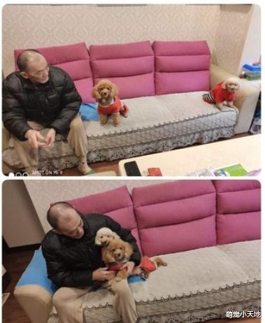 原嫌病犬是“瑕疵品”不给养！爸爸转性左搂右抱穿情侣装