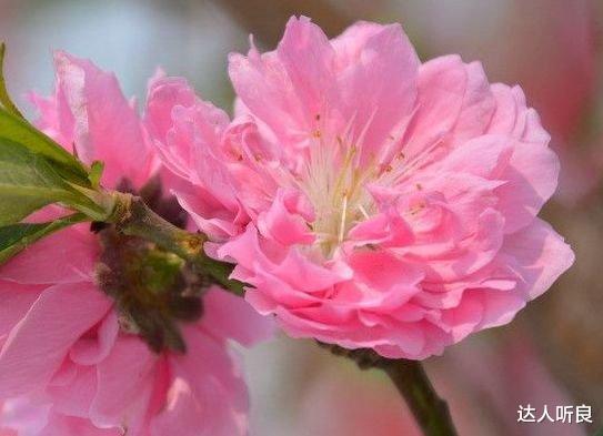 |9月上旬大吉大利，4属相横财运转好，事业如鱼得水，收获满满