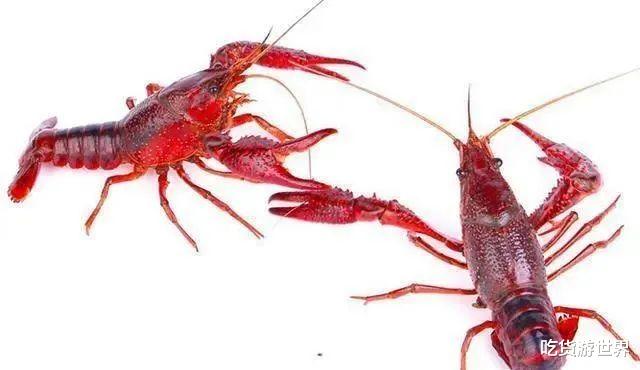 「小龙虾」洗小龙虾时，别再一只只刷了，用这水泡10分钟，洗得干净又彻底