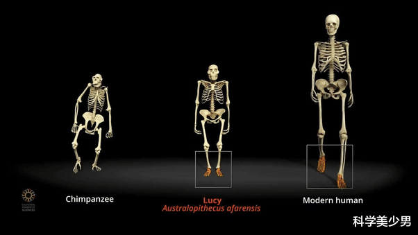 科学家|地球没有人的时候第一个人是怎么来的？科学家是这么回答的