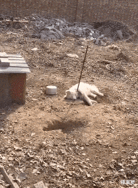 |“男孩子真的会喜欢这种微胖的身材吗？”哈哈哈何止是喜欢，简直是梦寐以求