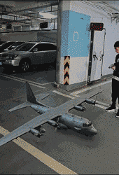 咸蛋的小姐|“被蜜蜂蛰了,奶奶说拔罐逼出毒血就好了”,但为啥却越长越大!哈哈哈~