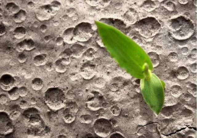 月球▲嫦娥四号在月球上发现了“生命”,却没能熬过月球的黑夜!