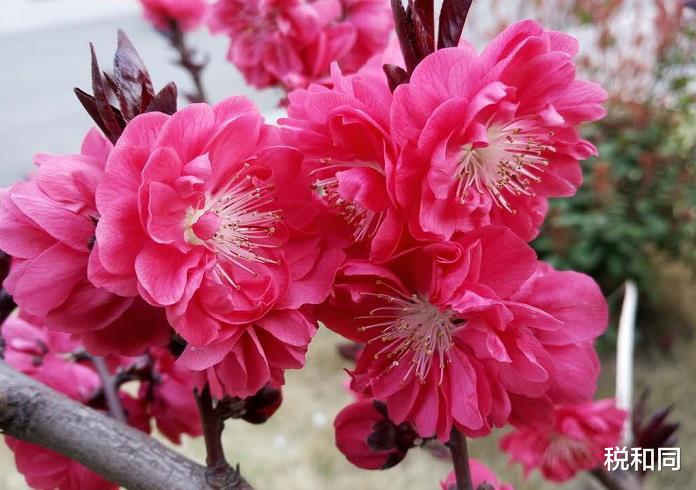 「霉运」6月21号过后，霉运跑光，“财气冲天”的3大生肖！