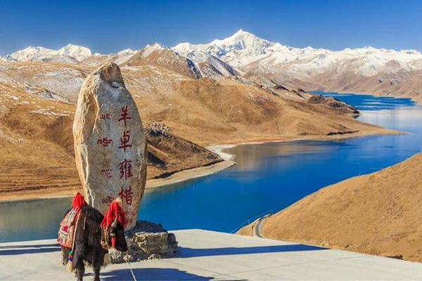 穷游|川藏线上，看到穷游女生举着“ 求RB”的牌子，其中暗语你知道吗