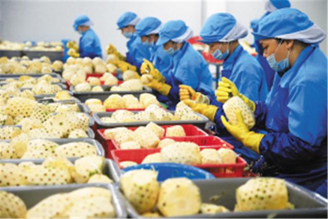 『加拿大』赚着中国的钱,却揣着美国心和中国过不去,中方果断取消订单