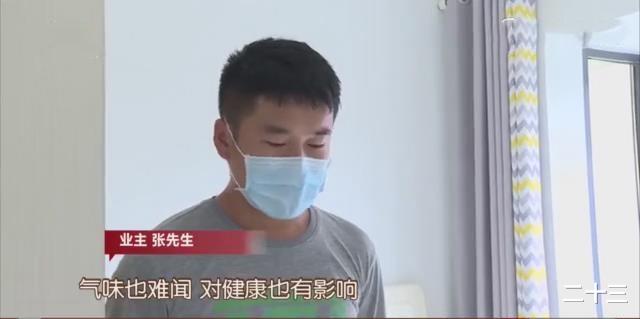 律师|下水道被堵，男子13万装修的新家被淹报废，律师：起诉楼上所有业主！