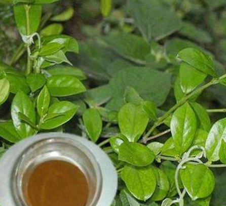 「」中国传来好消息，北大团队研究有重大突破，全世界都纷纷不淡定了