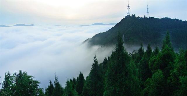 [生肖]总有一天会咸鱼翻身的星座