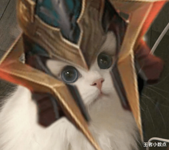 刘备|王者中有露铠兄妹，有镜曜姐弟，有蒙家父子，唯独没有母亲角色？