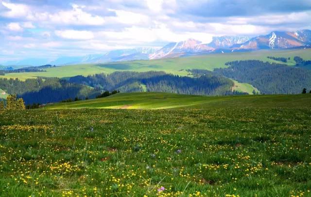 「乌孙」你为什么留在喀拉峻？