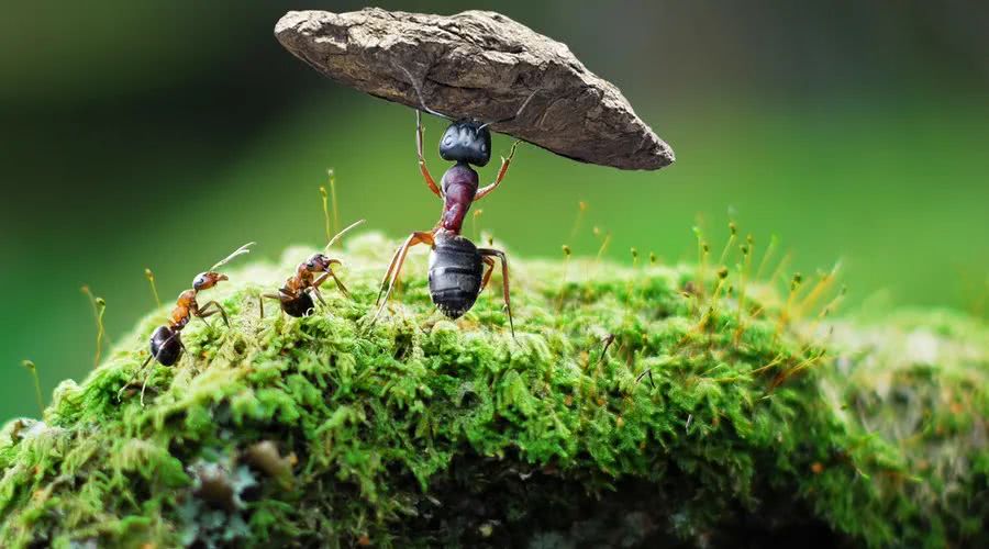 「生肖」6月中旬,财气十足,3大生肖财神显灵,贵人扶持,与贵人结伴